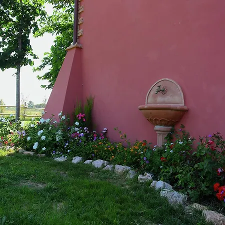 Big Holiday In Grosseto With Swimming Pool Вилла *
